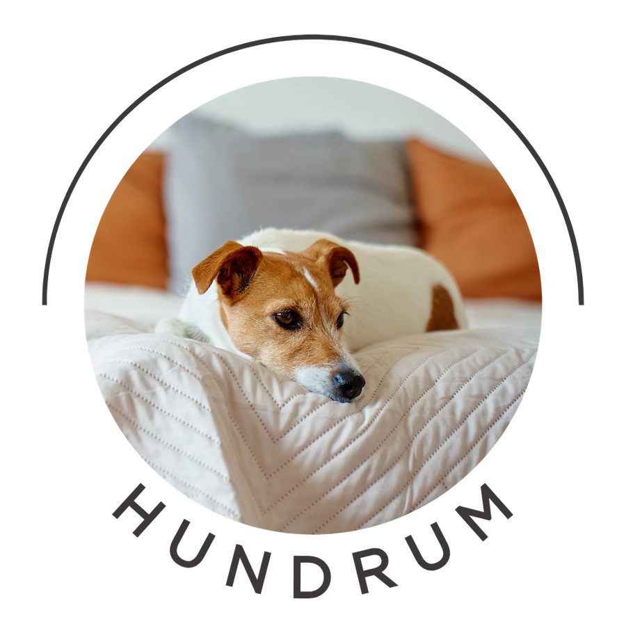 Bilden visar en hund som ligger på en hotellsäng och vilar. 